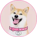 DogeGF logo