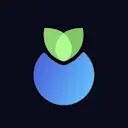 Blueberry Protocol logo
