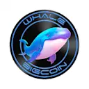 Whale Big Coin logo