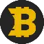 BITCOIN INTERNATIONAL logo