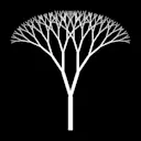 Bodhi logo