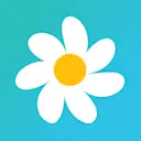 Daisy Pay logo