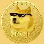 DOGE ETF logo