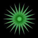 fey logo