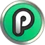 PlayChip logo