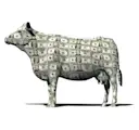 Cash Cow logo