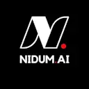 NidumAI logo