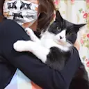 Onigiri The Cat logo