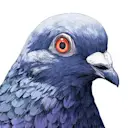 pigeon.trade logo