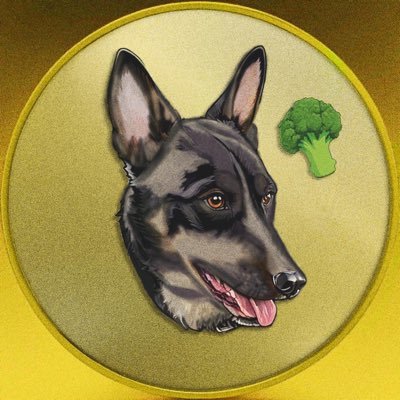 Broccoli - CTO logo