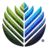 Kayan Carbon Credit Token logo