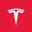 Tesla Tokenized Stock (Hyperliquid) logo