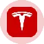Tesla Tokenized Stock (Ondo) logo