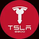 TSLA6900 logo