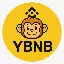 Yellow BNB logo