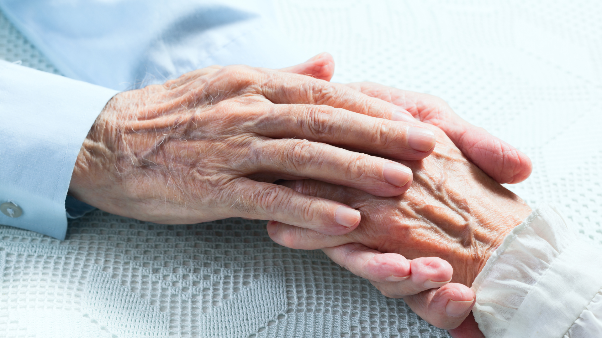 Contesting a will in colorado