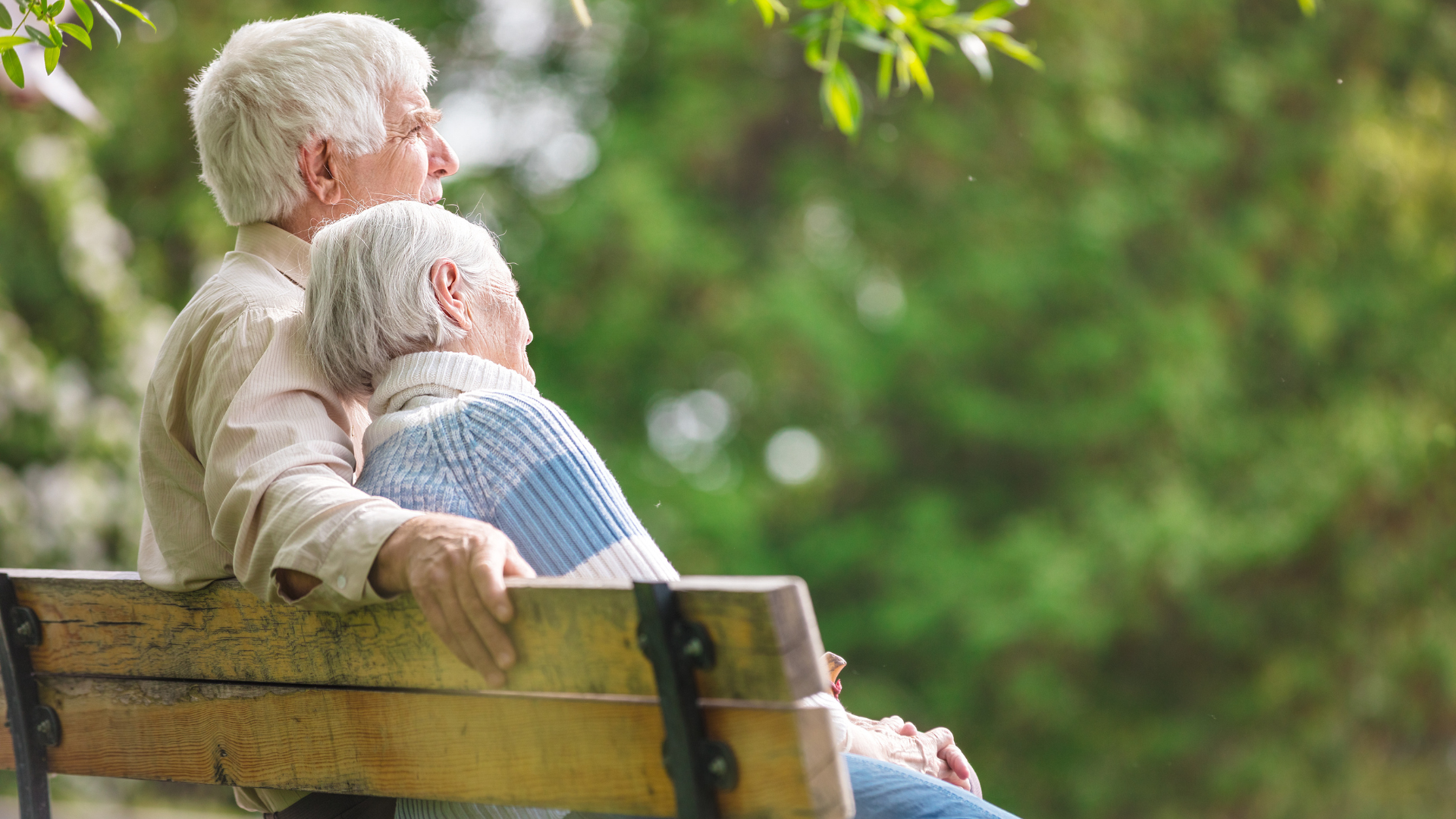 Our Colorado Lawyer's Guide to Guardianship: Keeping Vulnerable People Safe