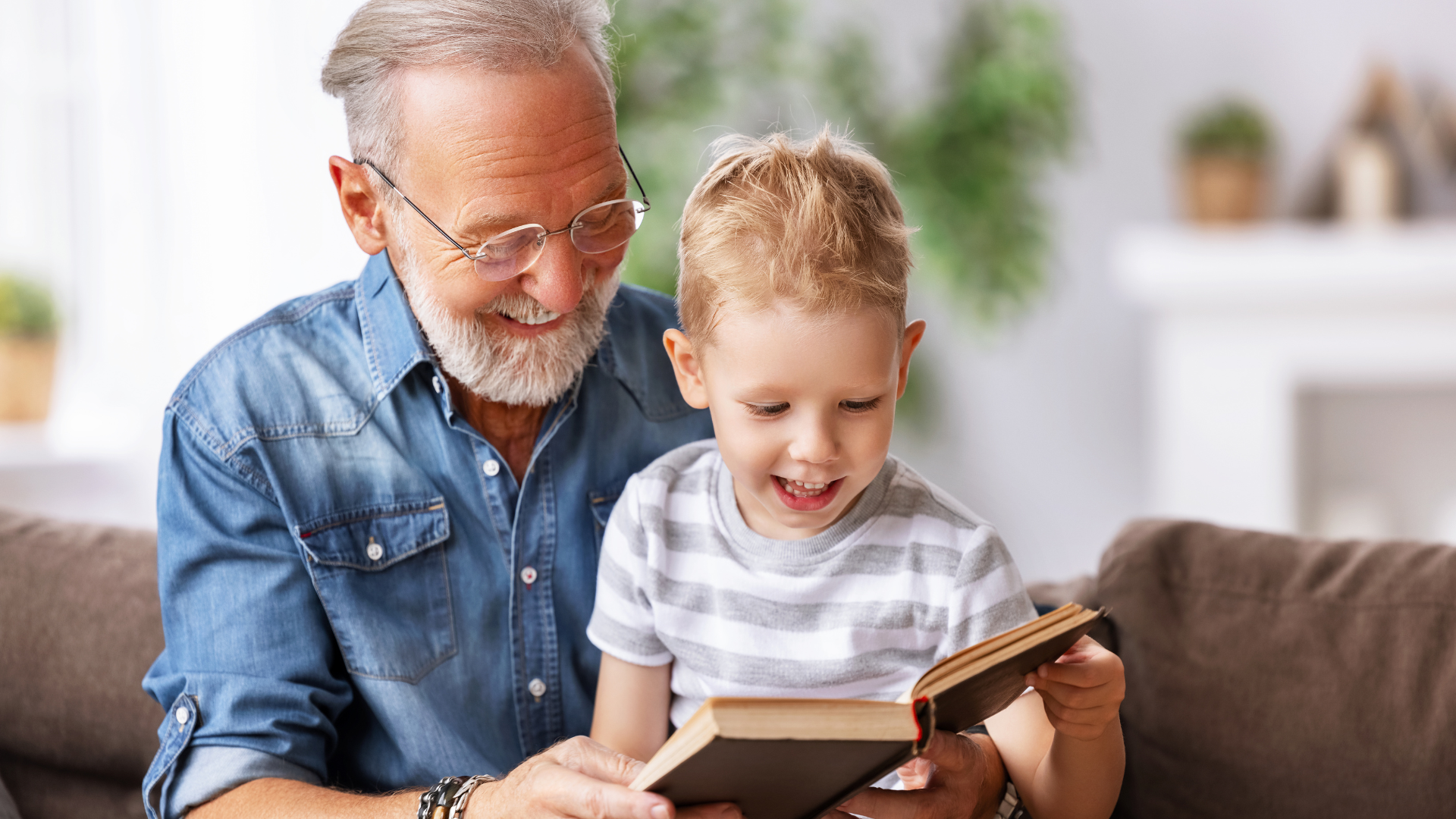 grandparents rights in colorado