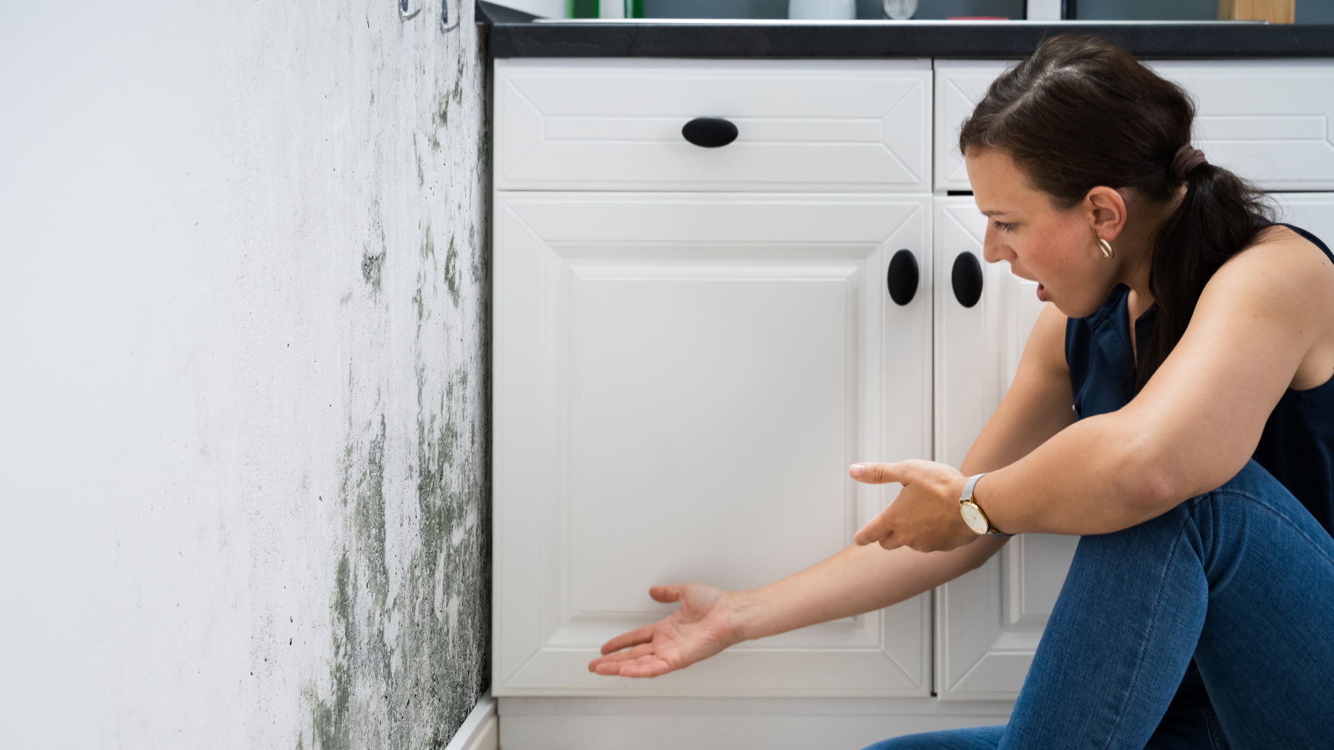 mold in house