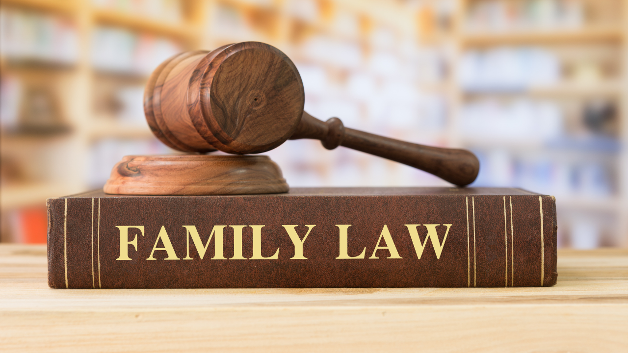 custody dispute