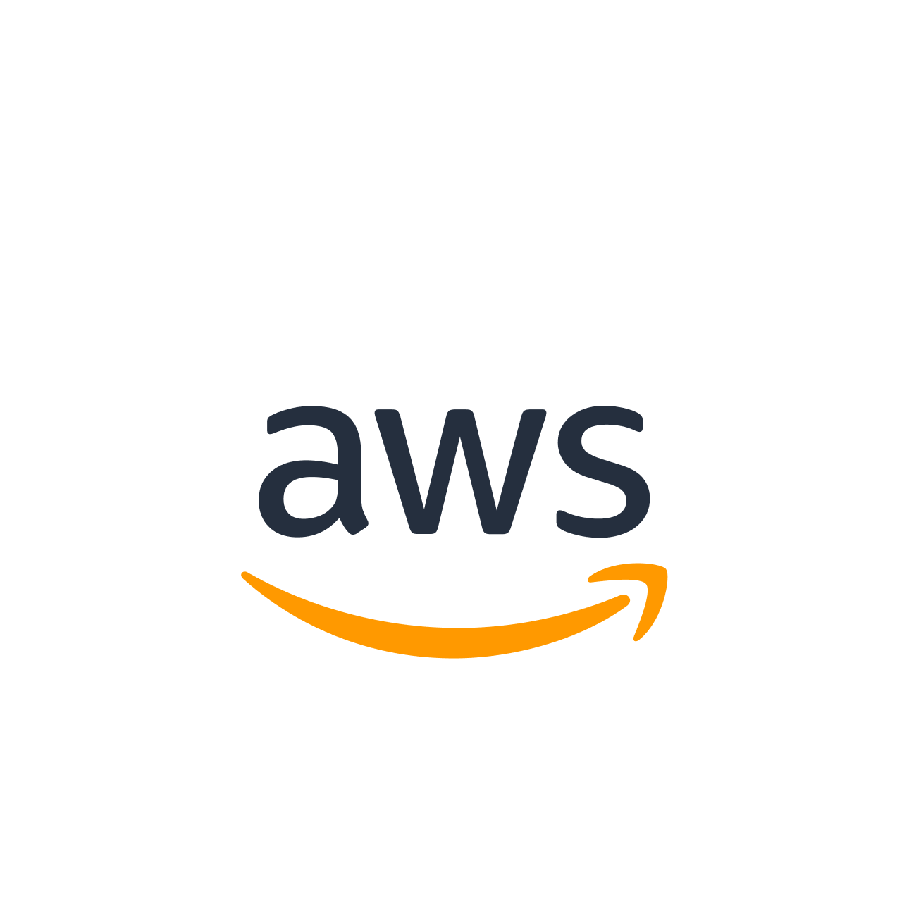 AWS logo white rectangle