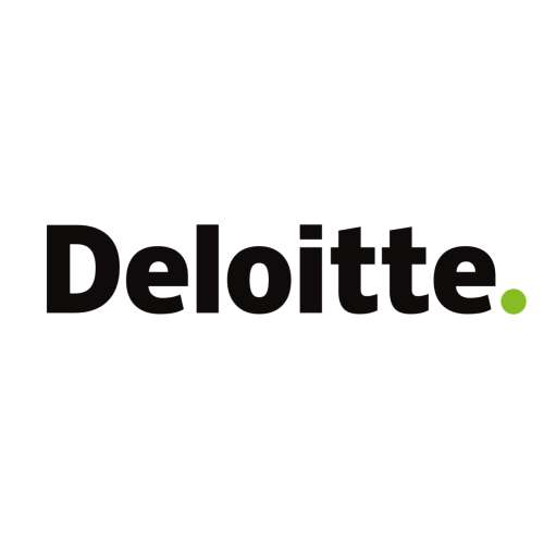 Deloitte logo white rectangle