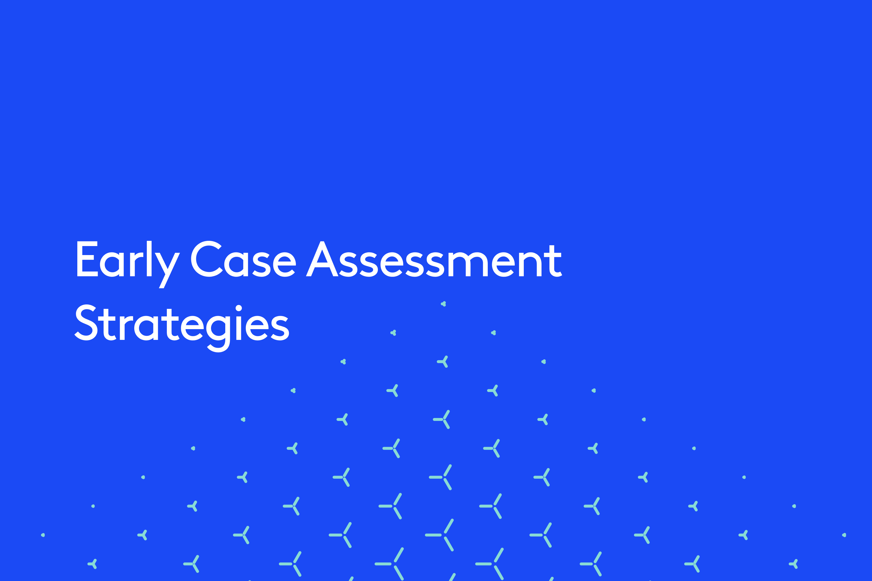 Early Case Assessment Strategies