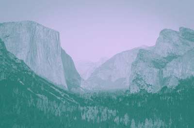 Yosemite-Lilac-Pine-1-2