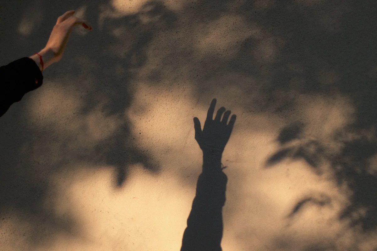 Shadow