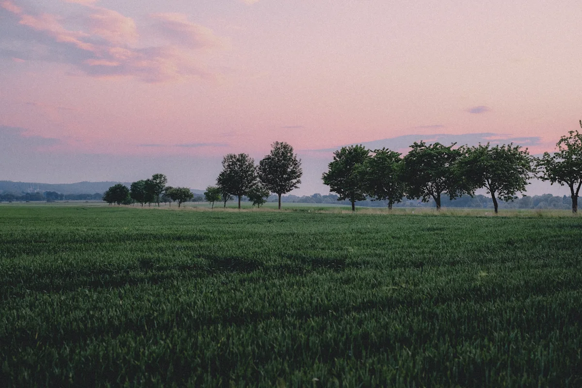 Fields