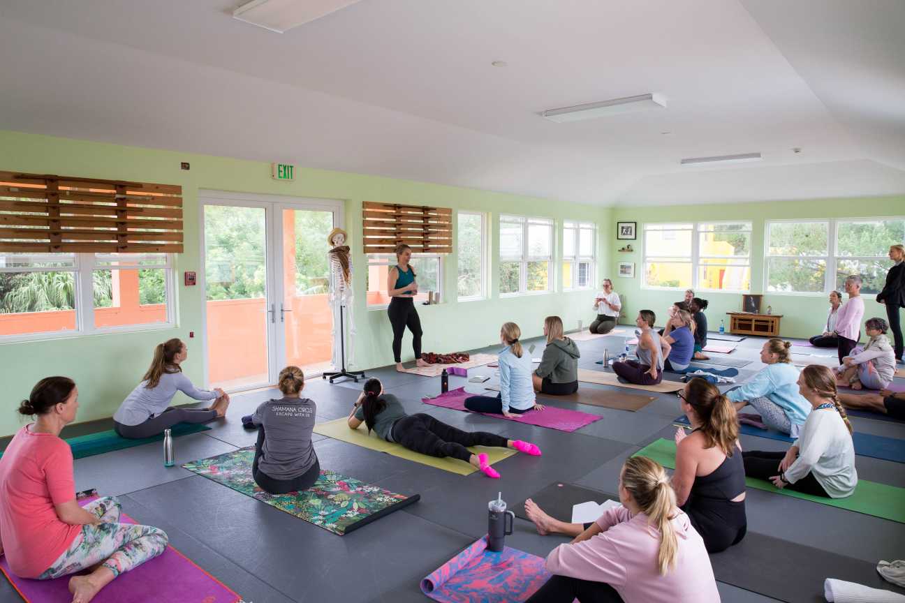 Clinical Yoga Courses