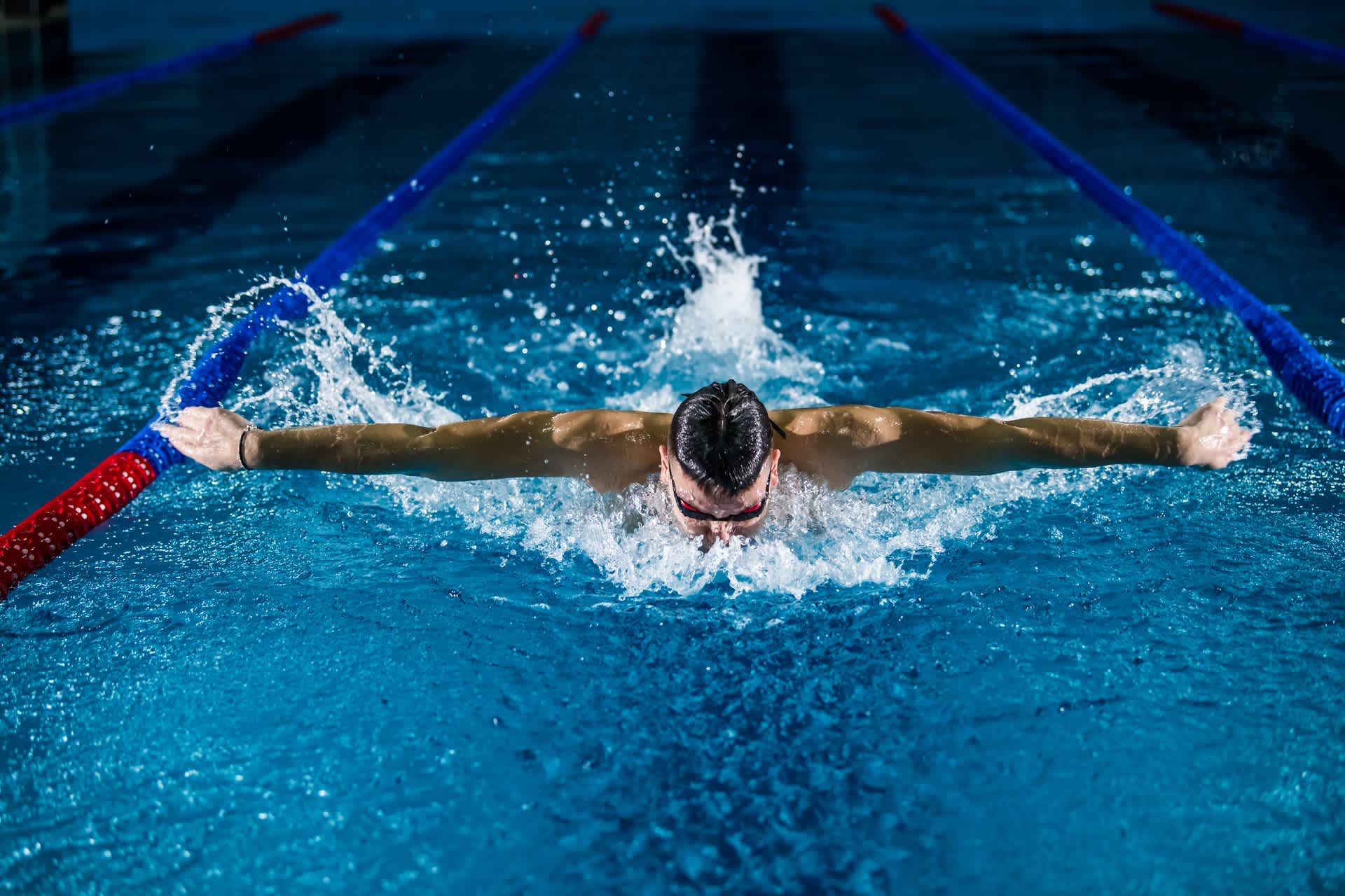 Swimmer in lane