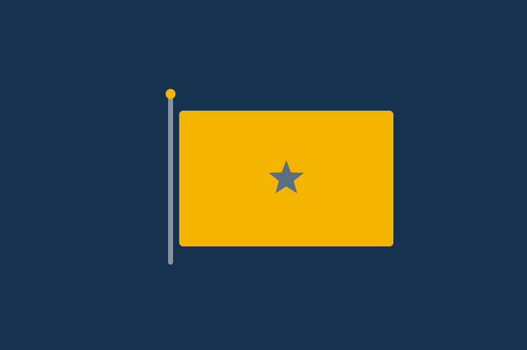 Blog | Flag Anatomy | Field