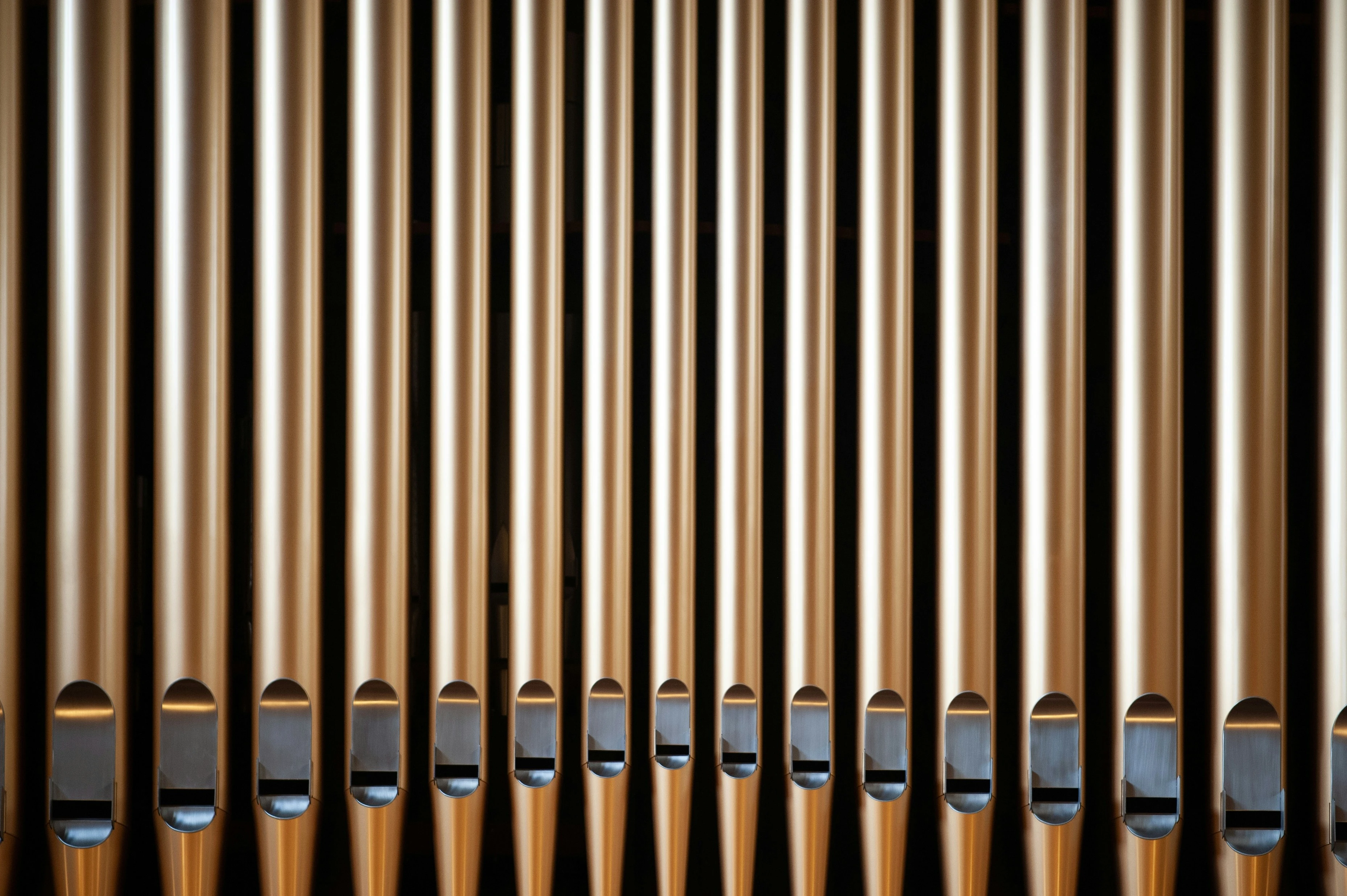 Organ