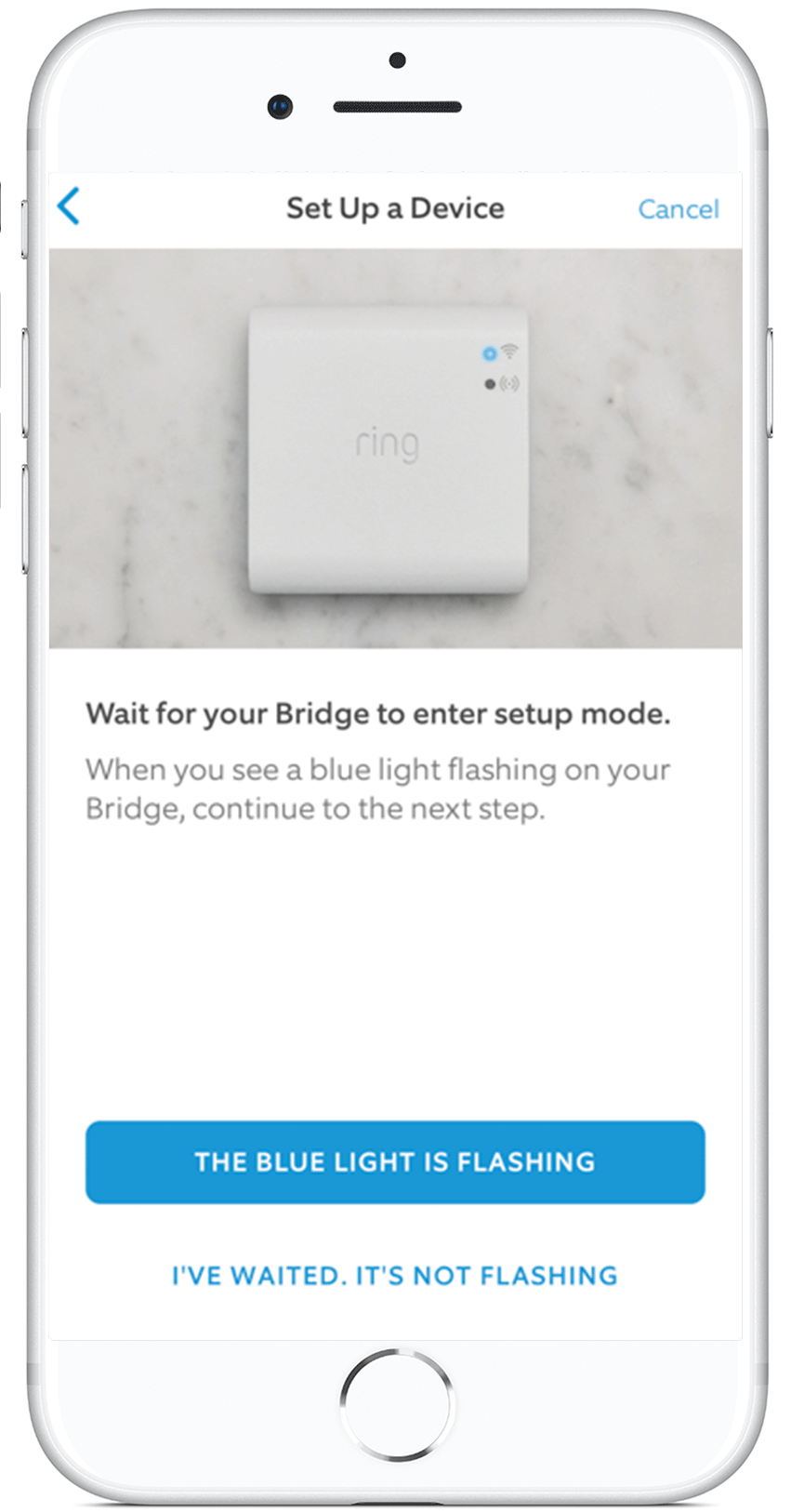 Ring Bridge lost connection - Smart Lighting - Ring Community