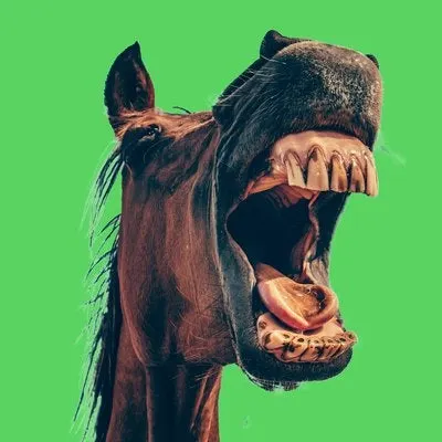 Funny music for memes
