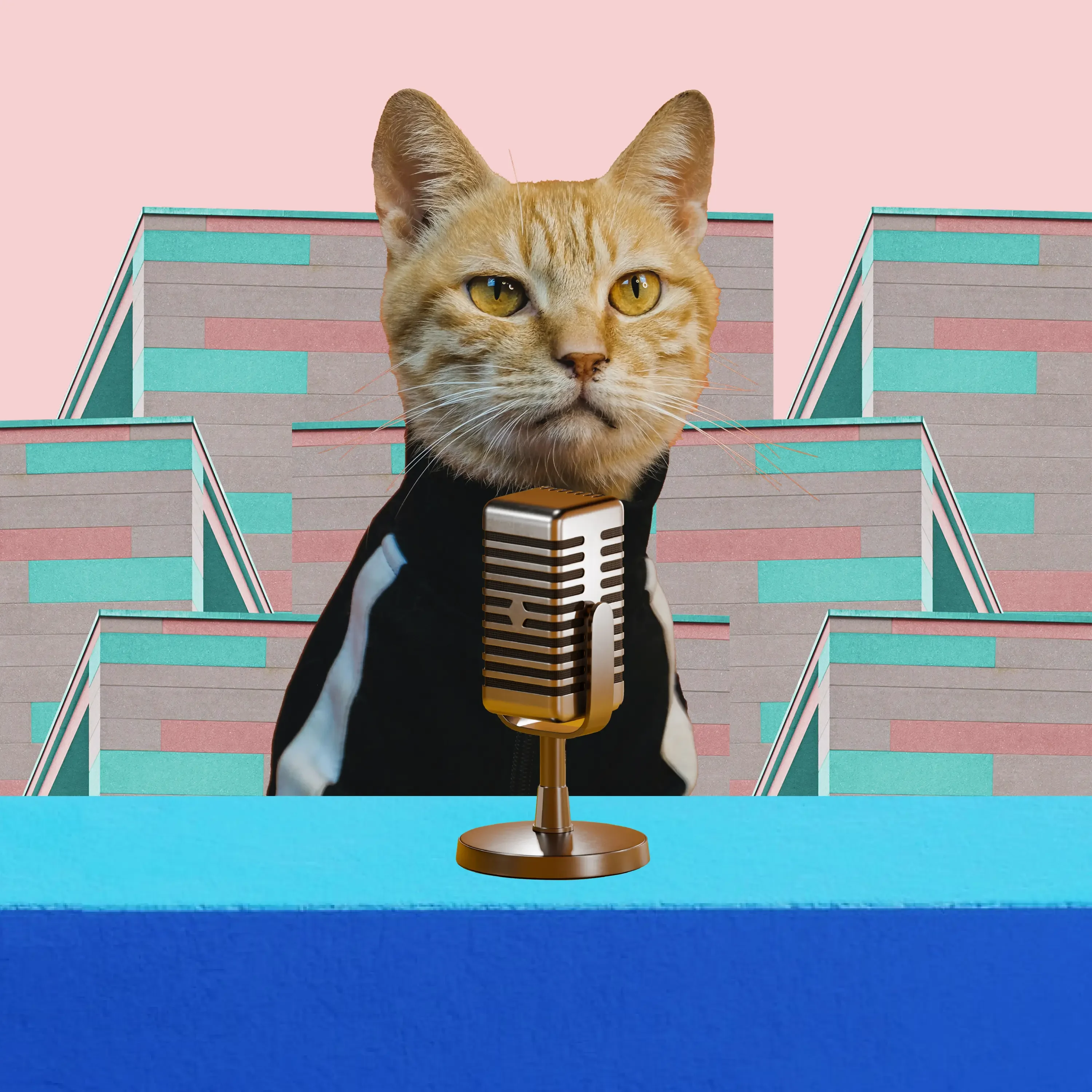 Music for broadcasting