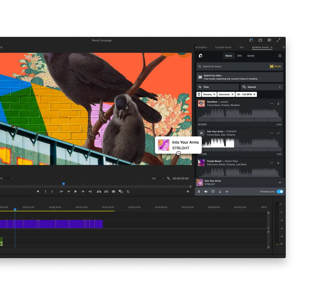 Epidemic Sound Adobe Premiere Pro plugin