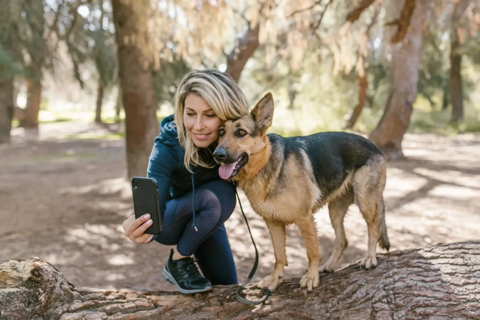 Filming a boomerang with a dog