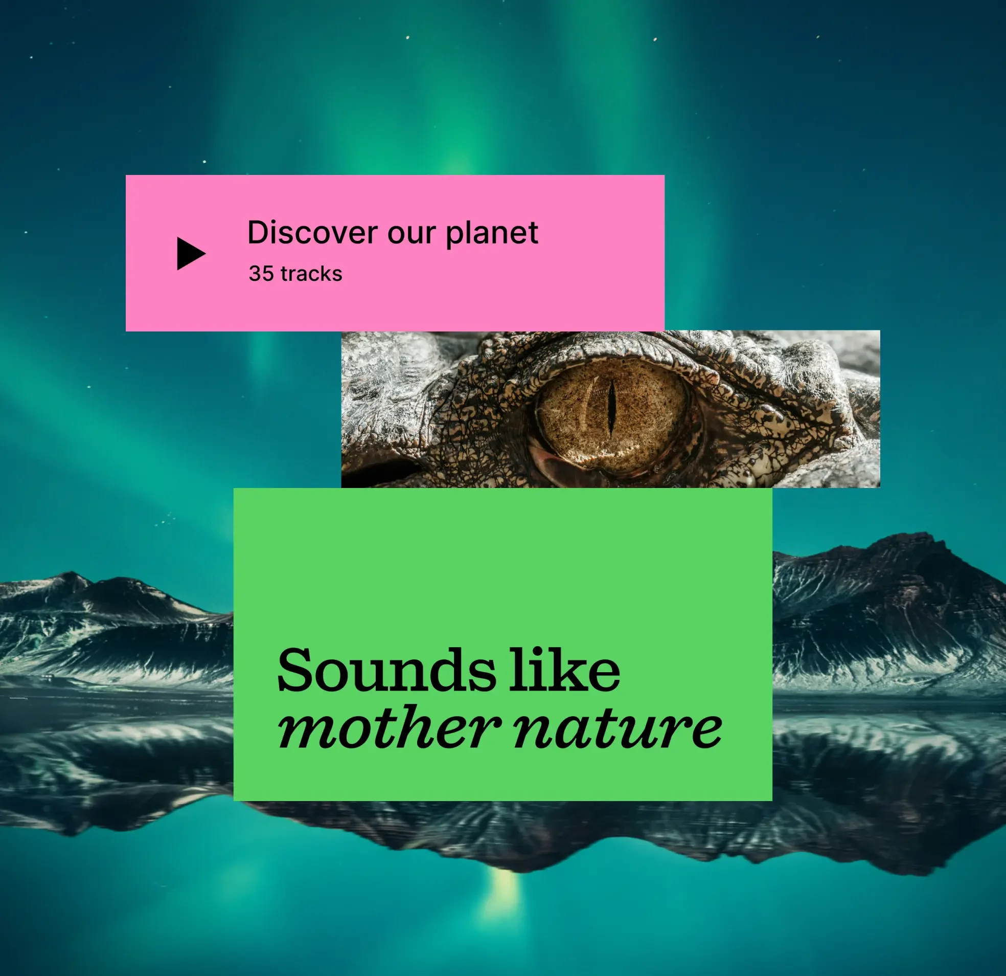 Enhance your nature documentary with perfectly curated music