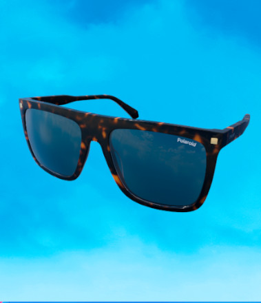 Polaroid Sunglasses - Buy Polaroid Sunglasses Online – Folkal Eyewear