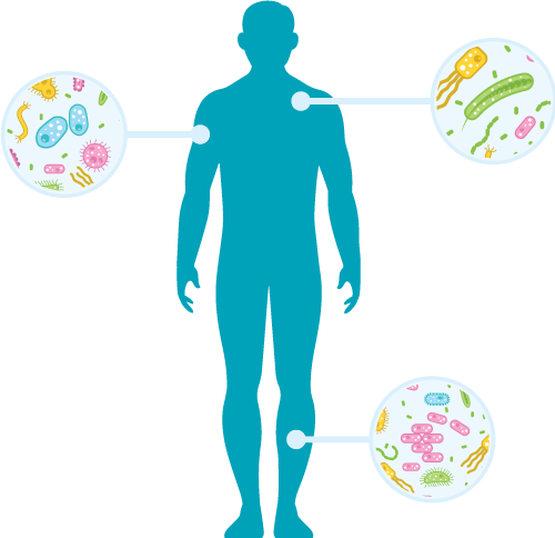 Imagen de microorganismos en el cuerpo