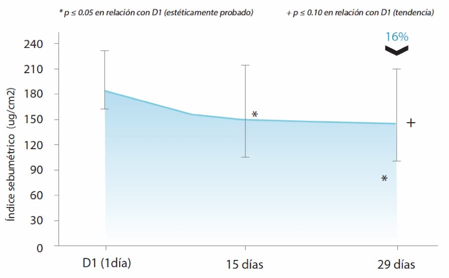 como funciona