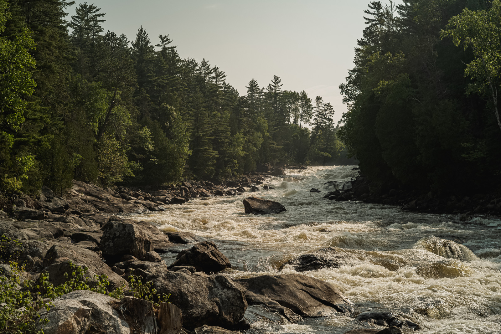 Grand Chute x Kipawa River (66 of 205)