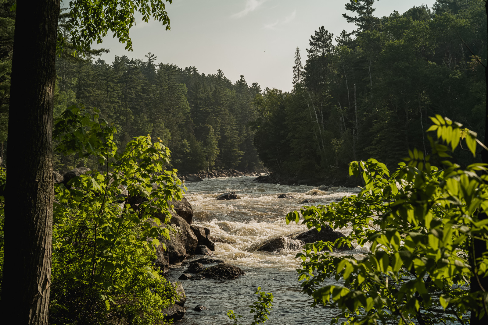 Grand Chute x Kipawa River (11 of 205)