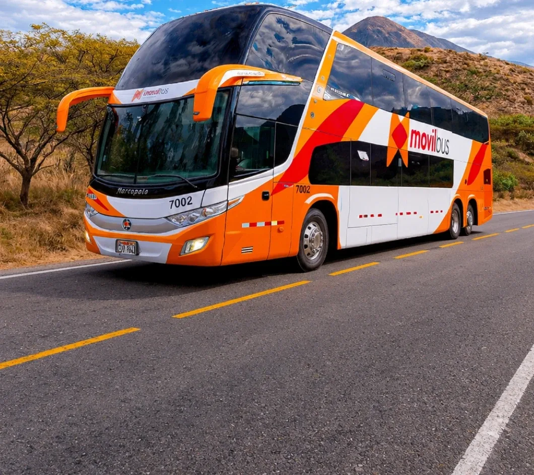 Movil Bus