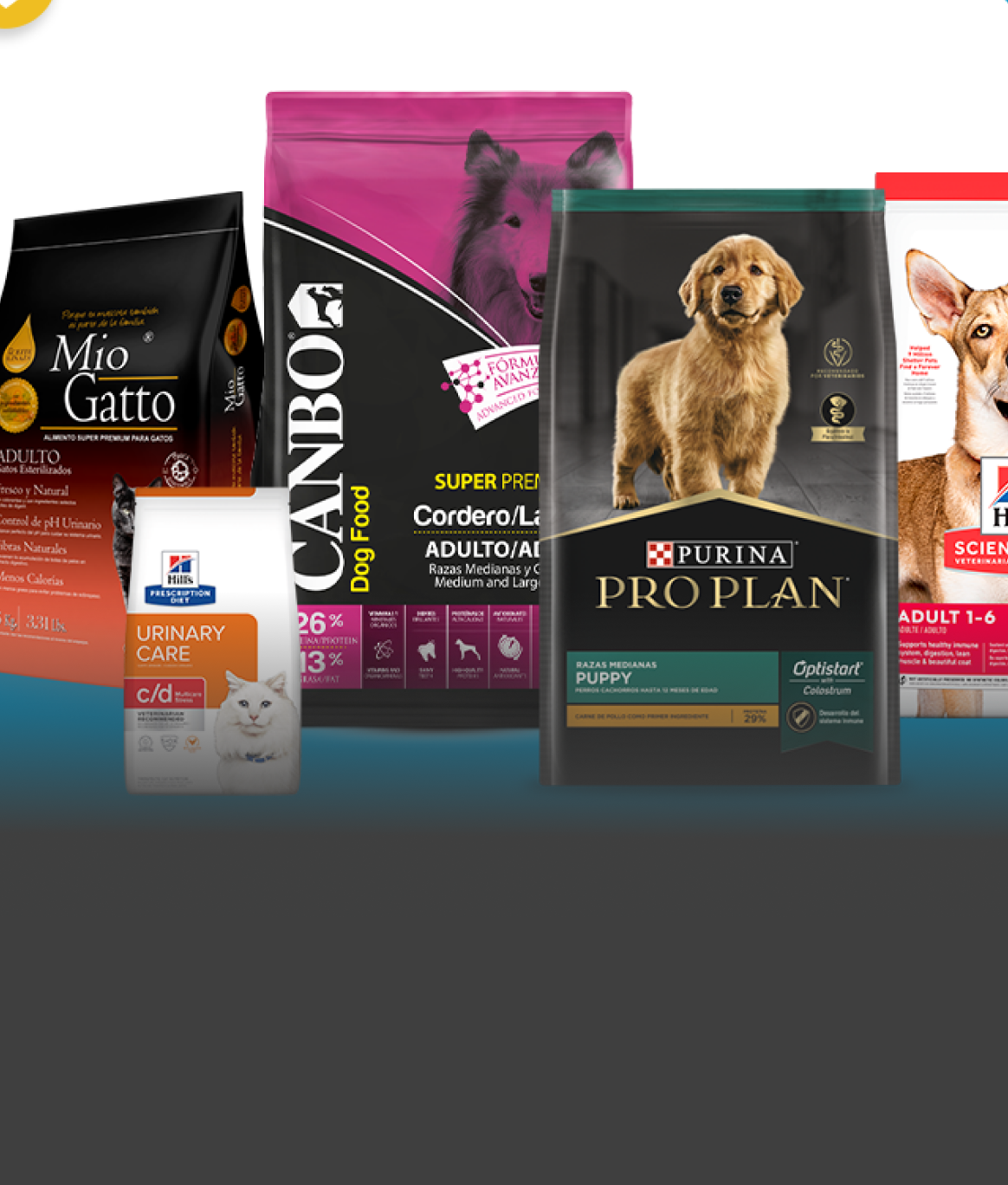 10% de dto. adicional en alimentos secos
