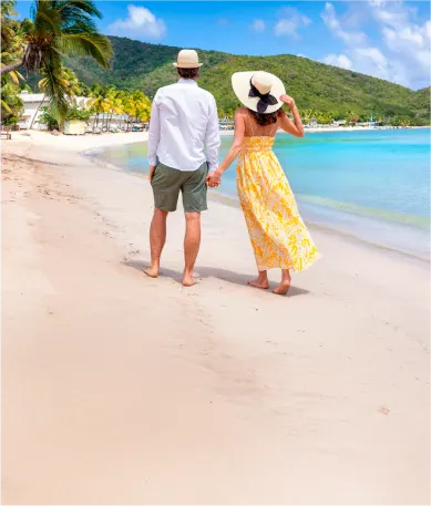 Consumo Viajes Falabella