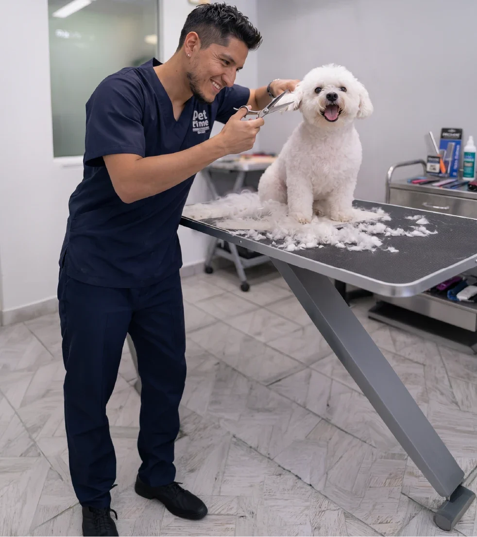 Pet Time