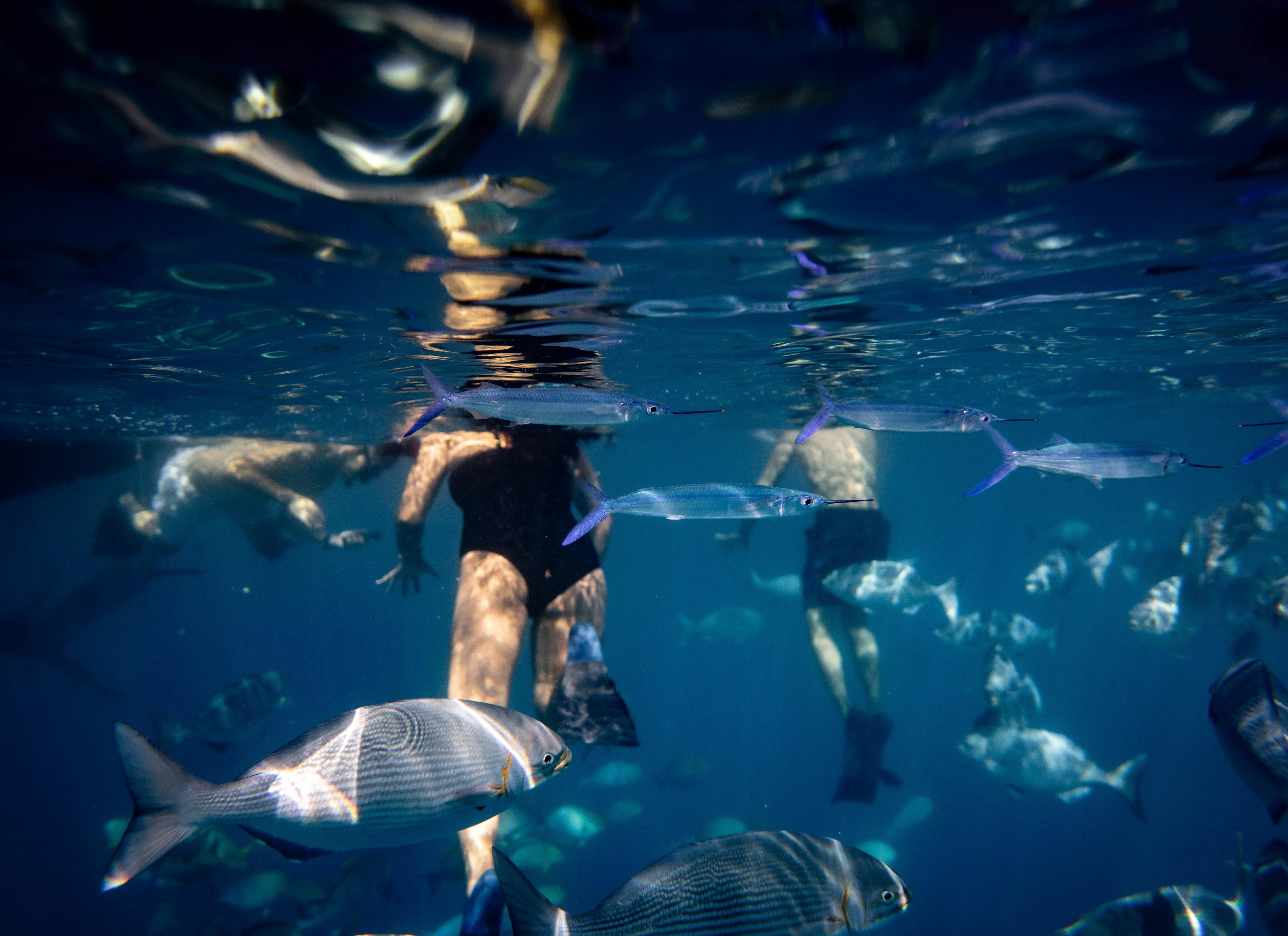 Dahab, Sinai Peninsula, Egypt